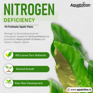 Home Aquatrition 48 Nitrogen deficiency