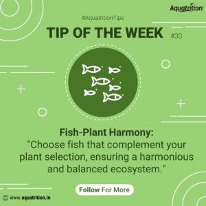 Home Aquatrition 47 449572749 929887559148997 2345709677708508393 n