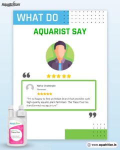 Home Aquatrition 44 450114942 934698525334567 6258187924553575260 n