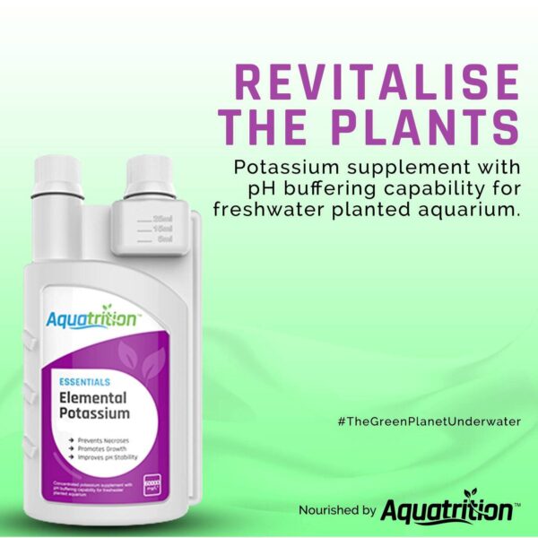 Guide to Masterful Aquascaping 25 EK 1 1382x1382