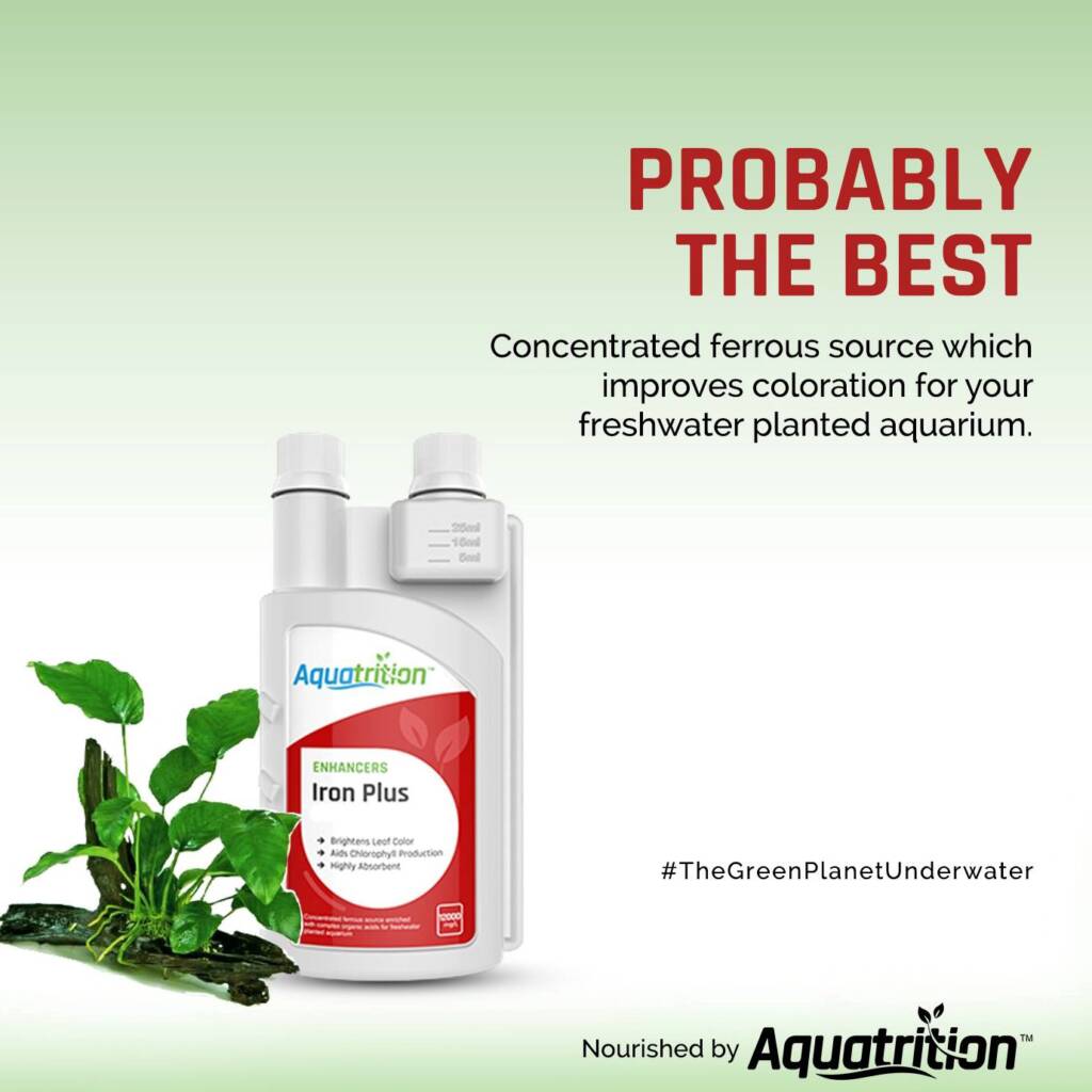 Image showcasing Premium Planted Aquarium Fertilizers for live aquatic plants