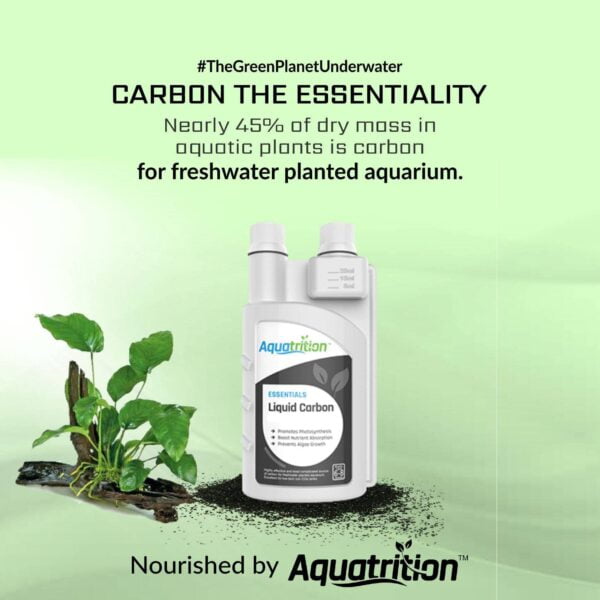 Guide to Masterful Aquascaping 31 LC 1 1835x1835