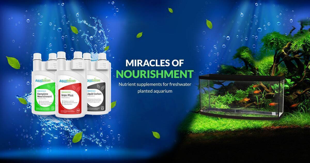 Premium Aquarium Plant Fertilizers For Live Aquatic Plants