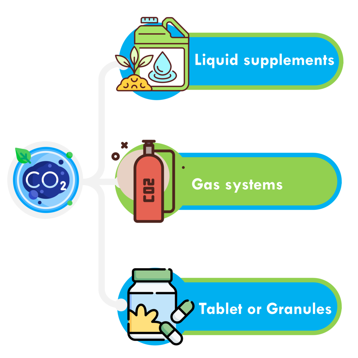 Unveiling the Role of Aquarium CO2 | Aquatrition - Aquarium Plant Co2 Requirements