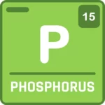 Understanding Nutrients for a Thriving Planted Aquarium 17 Phosphorus