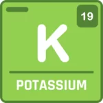 Understanding Nutrients for a Thriving Planted Aquarium 19 Potassium
