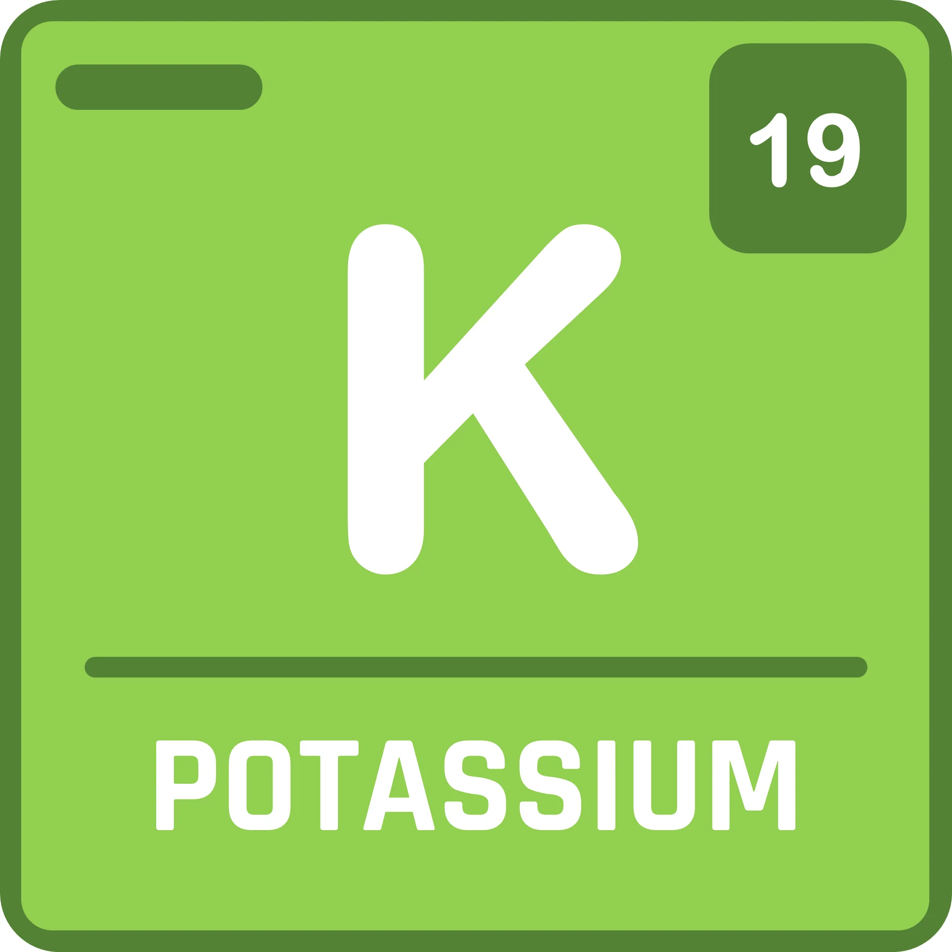 Nutrient Deficiency Guide for Freshwater Planted Aquarium 4 Potassium