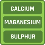 Understanding Nutrients for a Thriving Planted Aquarium 21 Slide5