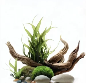 Understanding Nutrients for a Thriving Planted Aquarium 48 Planted Tank Fertilizer