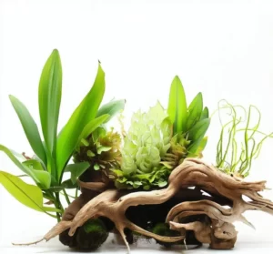 Understanding Nutrients for a Thriving Planted Aquarium 46 all in one aquarium plant fertilizer