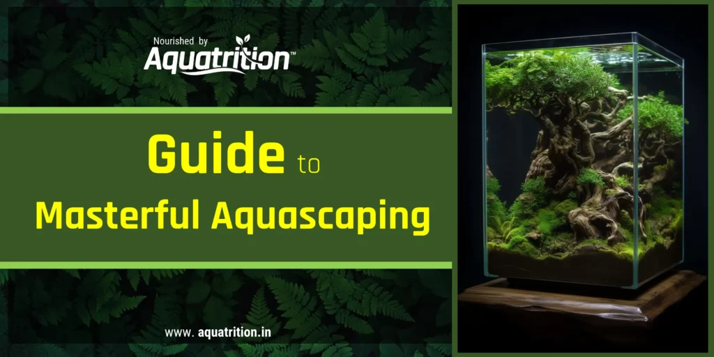 aquarium plant nutrients