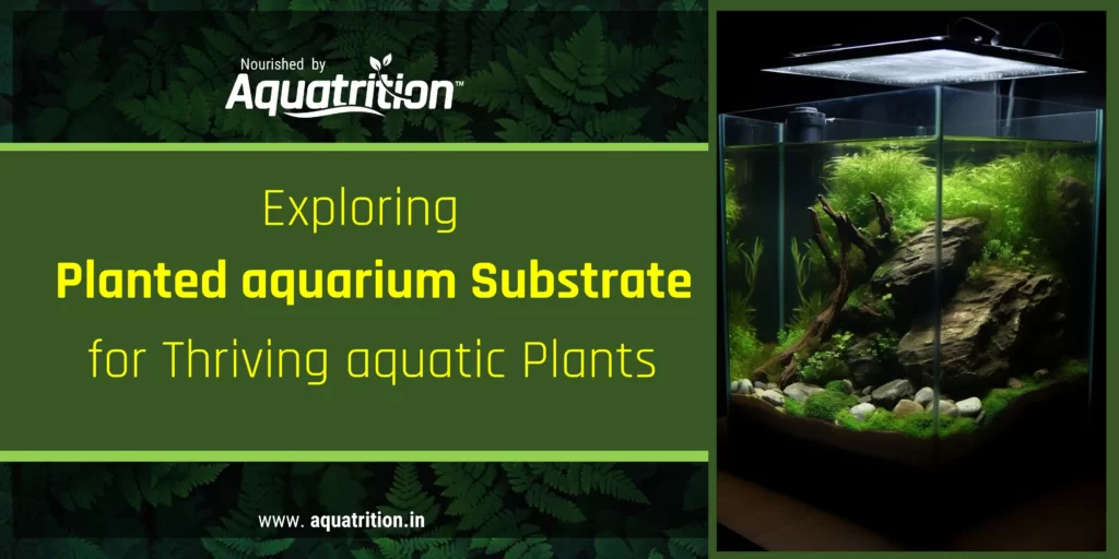 Understanding Planted Aquarium Substrate Aquatrition