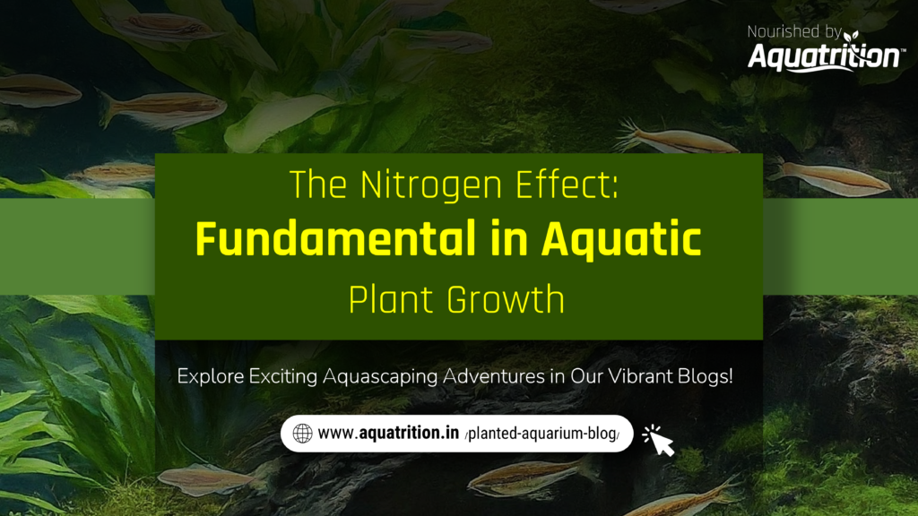Nitrogen in Planted Aquarium