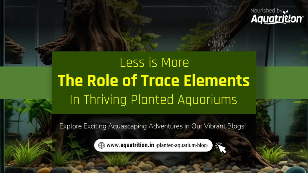 Trace Elements Blogs Aquatrition