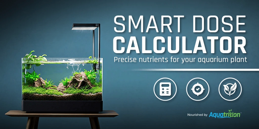 Home Aquatrition 35 aquatrition front page 1 New