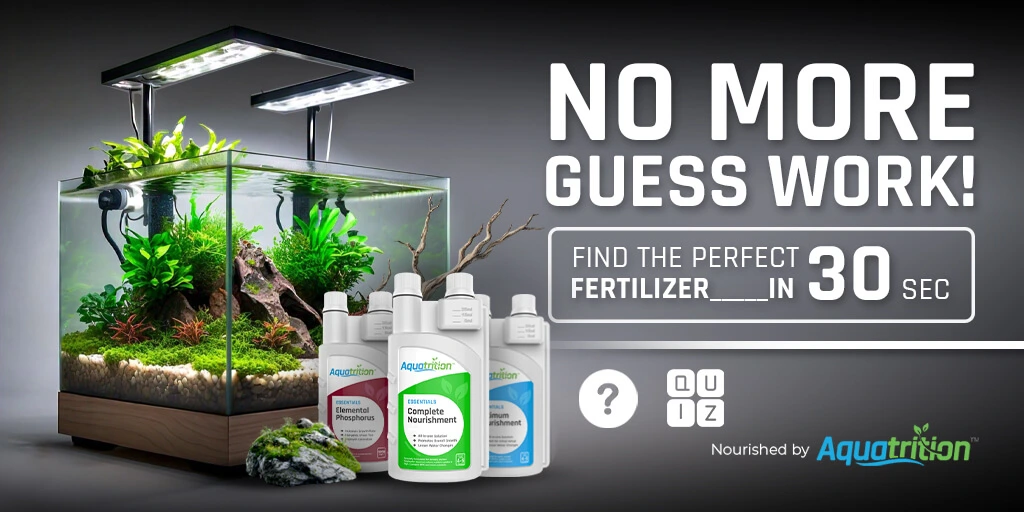 Home Aquatrition 37 aquatrition front page 3