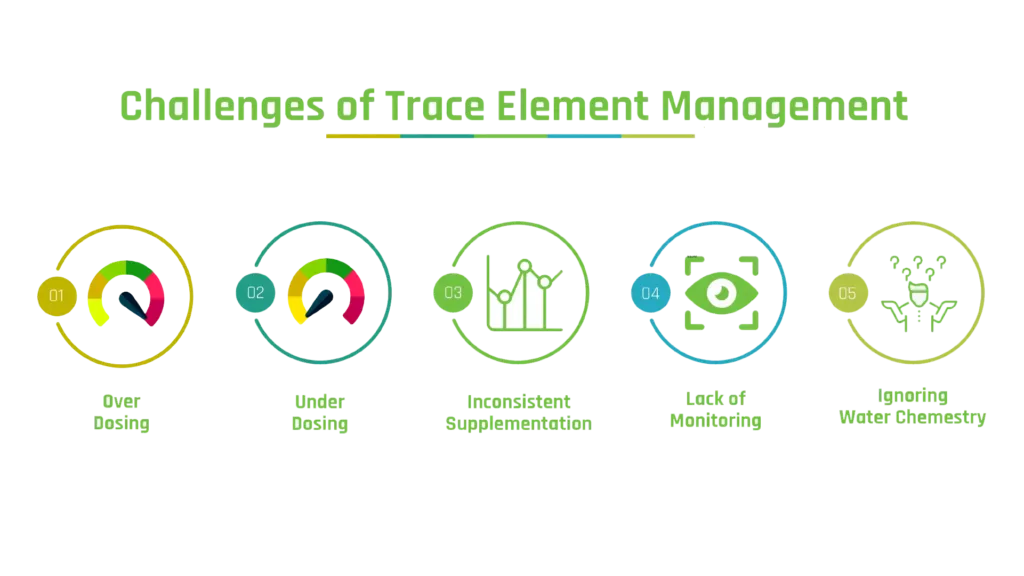 Less is More - The Role of Trace Elements in Thriving Planted Aquariums 14 info nkt 0905 transprant