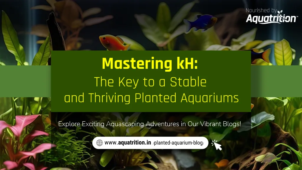 Role of kH in Freshwater Planted Aquarium
