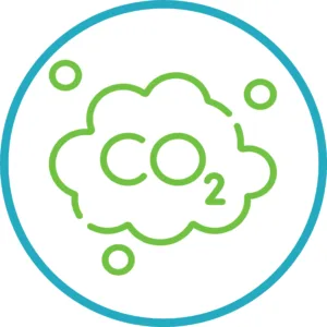 Why Non CO2 Planted Tank is Perfect for Beginners in India 3 Seo blog icon