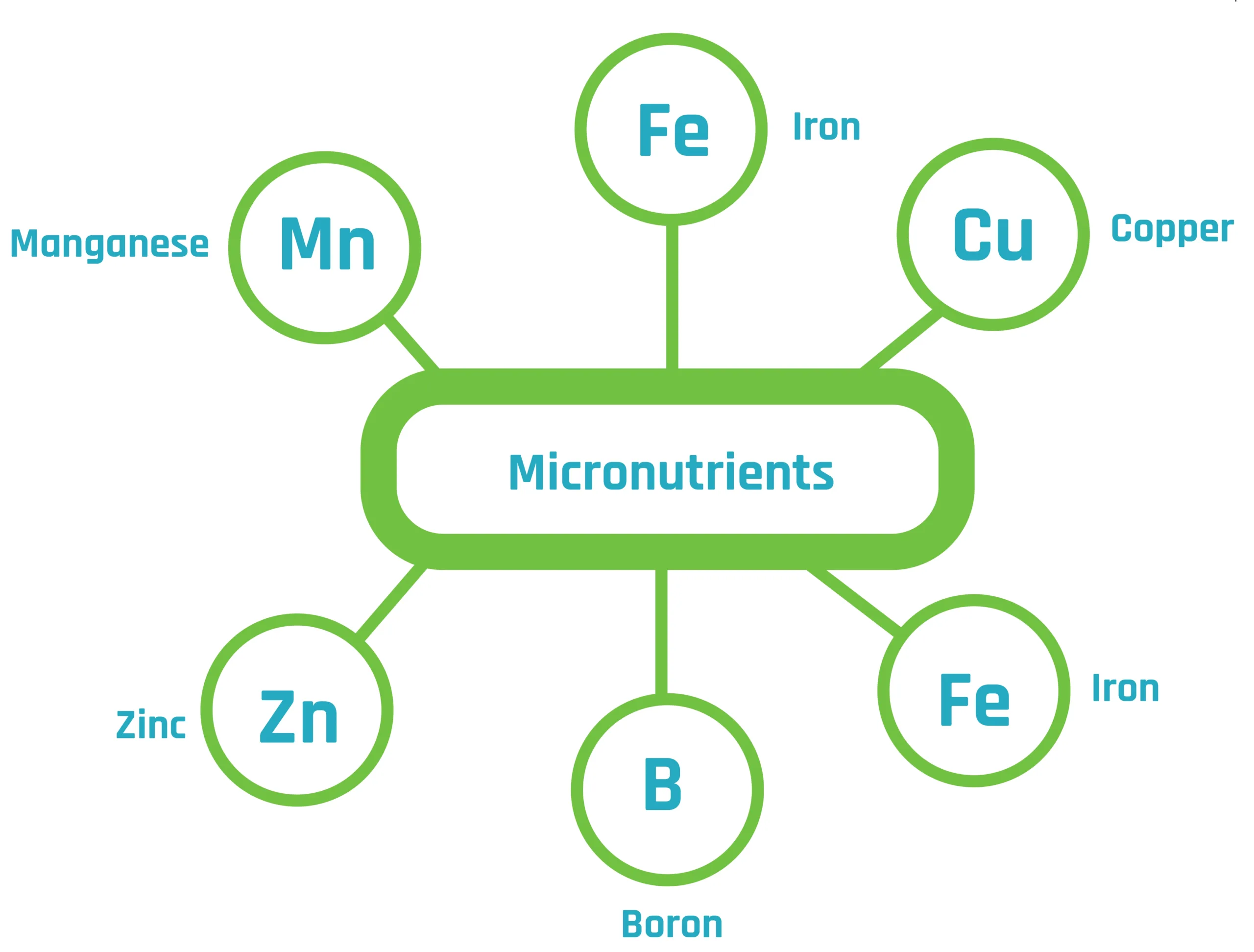 Nutrient Deficiency Guide for Freshwater Planted Aquarium 5 micronutrients scaled